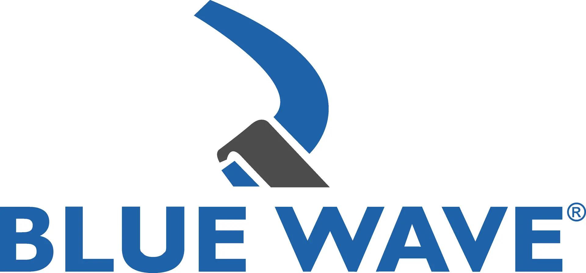 Blue Wave rigging logo